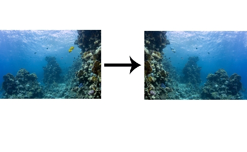 Creation of Underwater life: Step 3